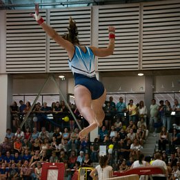 DSC_8229
