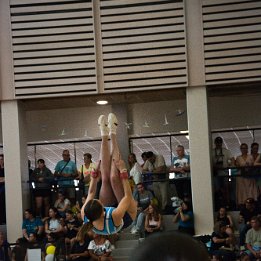 DSC_8221