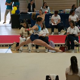 DSC_8287