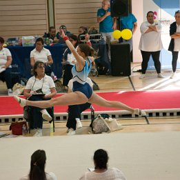 DSC_8255