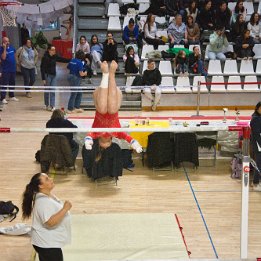 DSC_8137