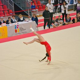 DSC_8053