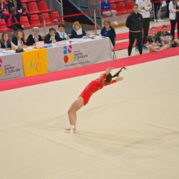 DSC_8054
