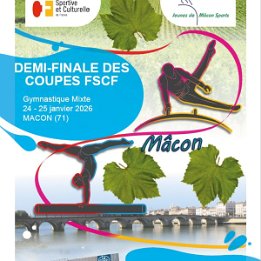 illustration-demi-finale-nationale-des-coupes-de-gymnastiques-artistique_1-1768298188