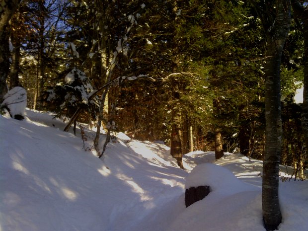 17-2-13 - La croix de l'alpe