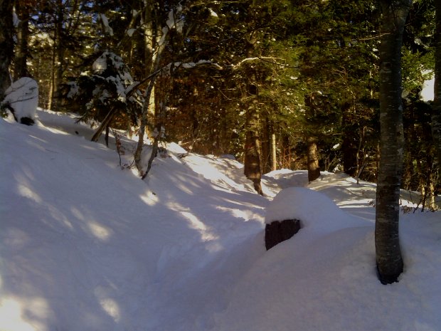 17-2-13 - La croix de l'alpe