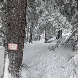 PXL_20260217_134534774