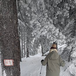 PXL_20260217_134548789