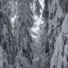 PXL_20260217_135621545