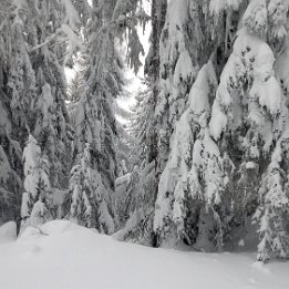 PXL_20260217_135629021