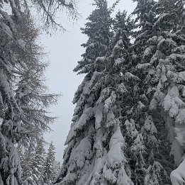 PXL_20260217_135640903