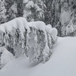 PXL_20260217_135648784