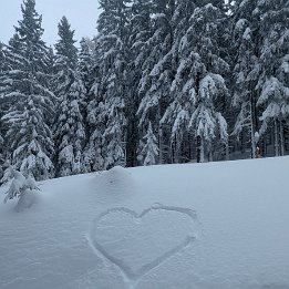 PXL_20260217_135942929