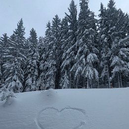 PXL_20260217_135944682