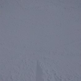 IMG_20180331_145811