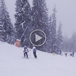 PXL_20260220_133959063.TS