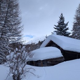 PXL_20260221_131403993