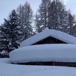 PXL_20260221_131408266