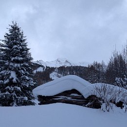 PXL_20260221_131432470