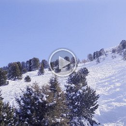 PXL_20260222_103656287.TS