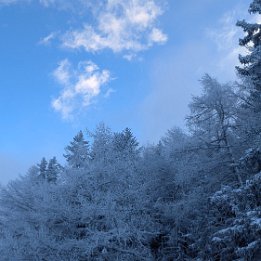 PXL_20260111_080840531