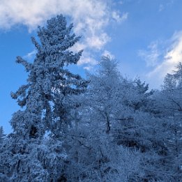 PXL_20260111_080842992