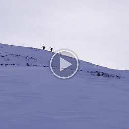 PXL_20260131_091237115.TS