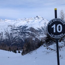 PXL_20260131_092313095