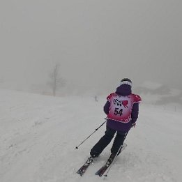 69c037fa92190686d8460e20