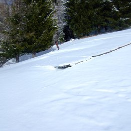 DSCF5140