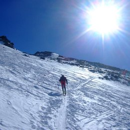 DSCF4781