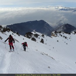 chamechaude006