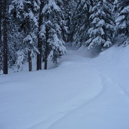 P1000452
