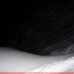 pelouse0209004