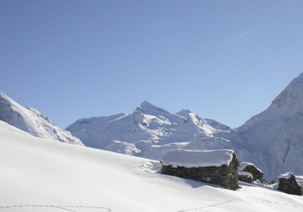 15-11-8 - L'Albaron