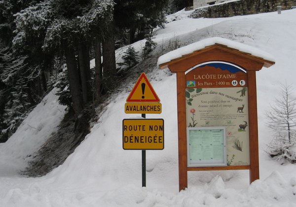 2008