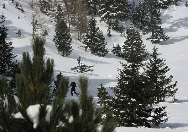 14-2-9 - Combe de l'Orgère