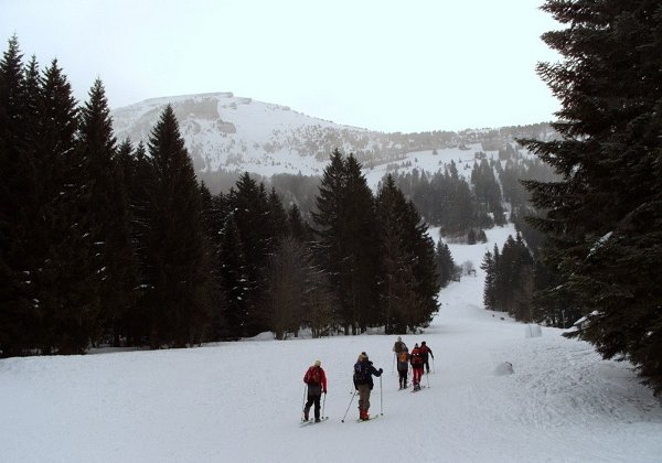 22-2-9 - Chamechaude