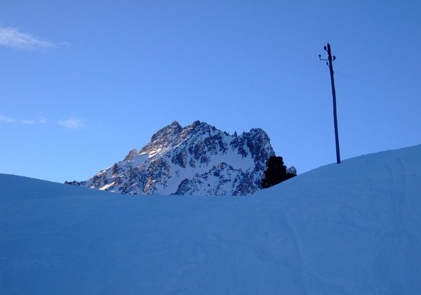 2009