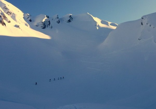 2010