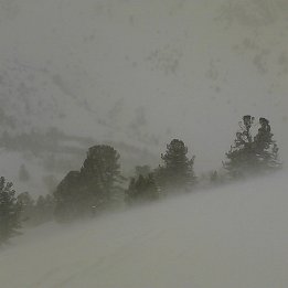 IMG_20130119_134701