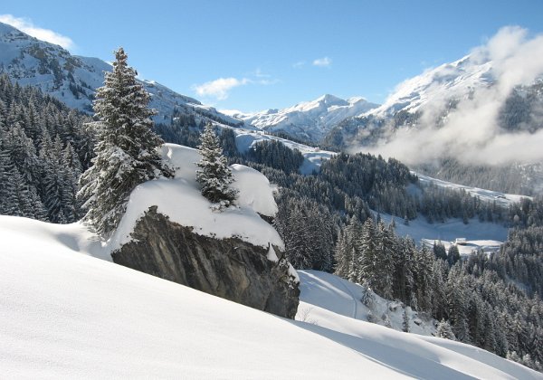 11-2-14 - Roche Parstire