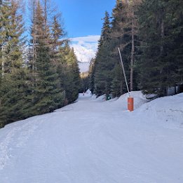 PXL_20250225_142540466