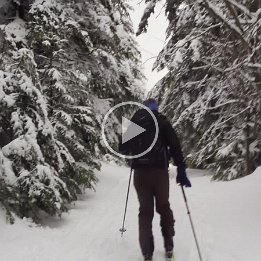 PXL_20260214_170031545.TS