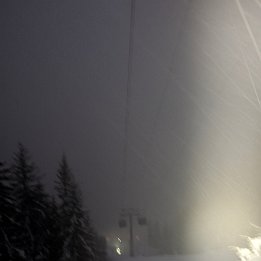 PXL_20260214_172956071.NIGHT