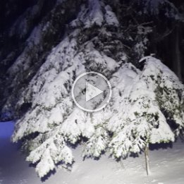 PXL_20260215_172044031.TS