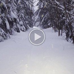 PXL_20260216_165419619.TS