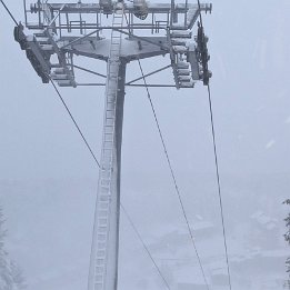 PXL_20260216_165530812.NIGHT