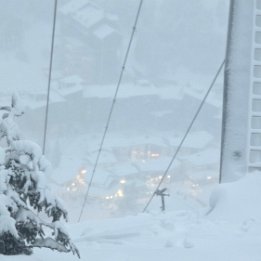 PXL_20260216_165606153.NIGHT