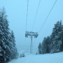 PXL_20260216_165616695.NIGHT